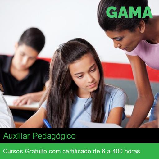 Auxiliar Pedagógico
